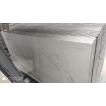 养殖瓷砖900x1800 甲鱼牛蛙鸡鸭兔狗竹鼠养殖专属优质瓷砖 900x1800