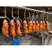 稻香竹鼠